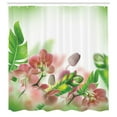 thumbnail image 3 of Ambesonne Spring Shower Curtain, Orchids Blossoms Leaves, 69"Wx70"L, Peach and Green, 3 of 5