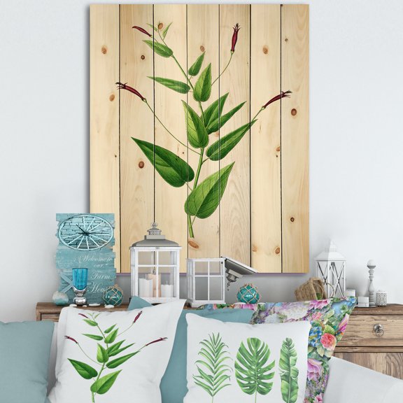 Designart 'Ancient London Plants VII' Traditional Print on Natural Pine Wood