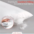 thumbnail image 2 of Digital Decor Toddler Pillow, Hypoallergenic, Made in USA, Includes 2 Pillowcases, 2 of 3