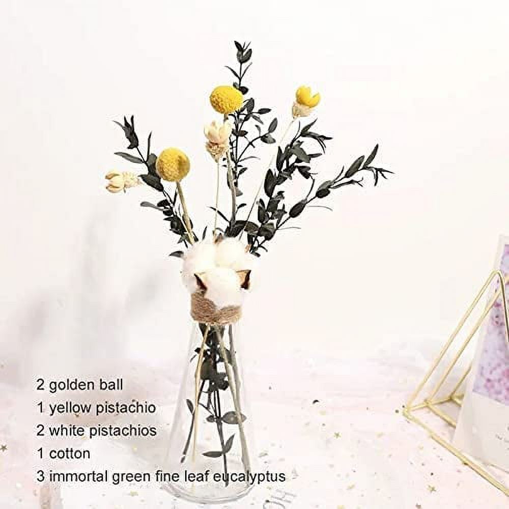 CoCopeaunt Dried Flower Arrangement with Vasedried Flower Bouquet with Vase Dried  Flowers with Stems (Style 5) 