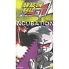 Dragon Ball GT - Incubation