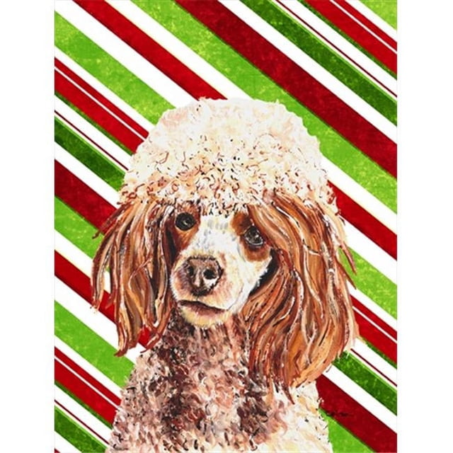 Carolines Treasures SC9795CHF Miniature Rouge Caniche Canne Noël Drapeau Toile Maison Taille