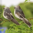 thumbnail image 4 of Dserhfy 2Pcs Artificial Bird Ornaments Realistic Looking Adorable Appearance Polystyrene Simulation Bird Ornament Backyard Statues Decor for Home, 4 of 8