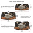 thumbnail image 2 of Foldable Car Windshield Sunshade UV Sun Visor Protector Blocks UV Rays Keeps Vehicle Cool 57x31.5 Inch Fluffy White and Brown Cat, 2 of 8