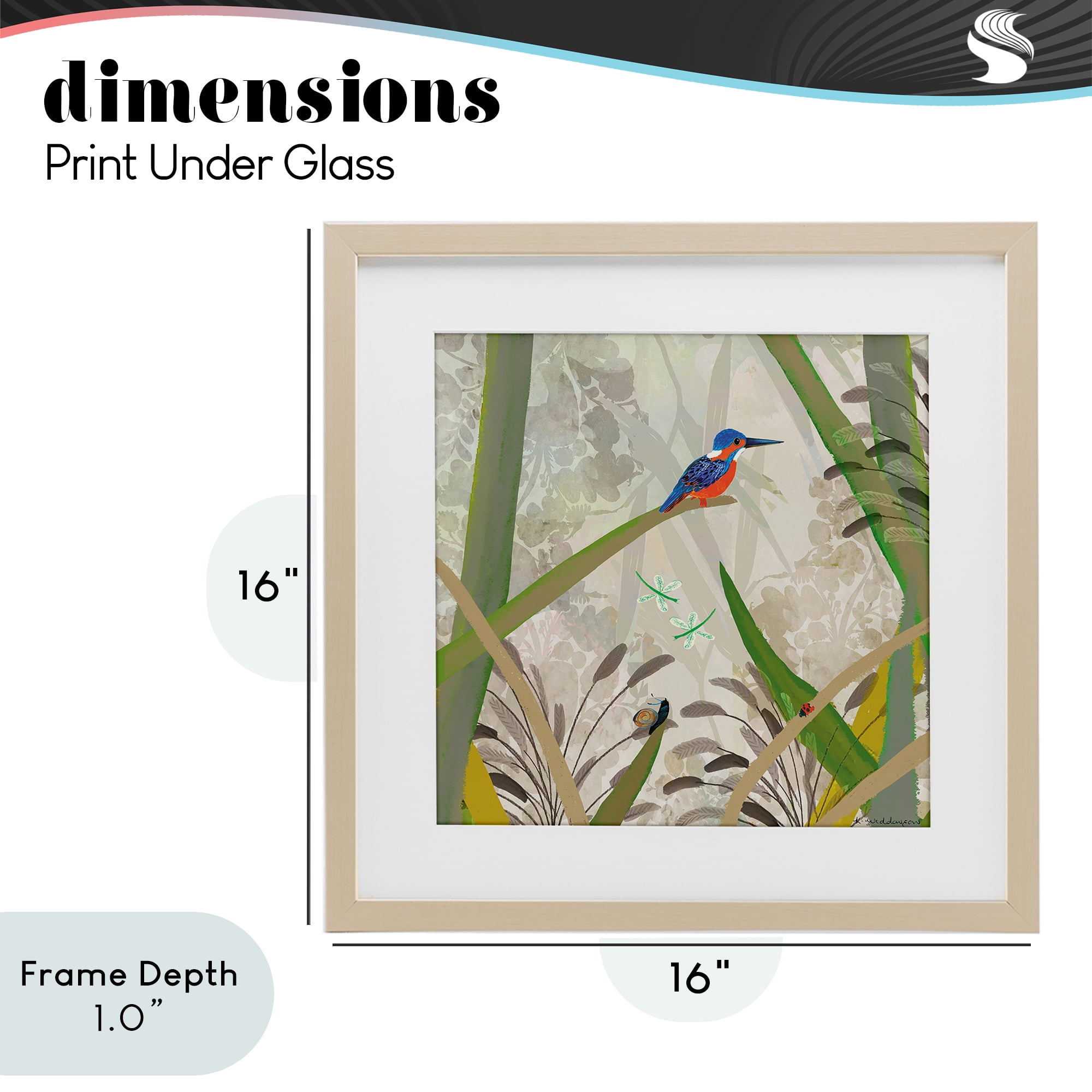 Stupell Industries Kingfisher Among Branches Birch Framed Print Under Glass, design by Kay Widdowson
