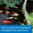 thumbnail image 4 of API Pond Melafix, Pond Fish Bacterial Infection Remedy, 16 oz, 4 of 7