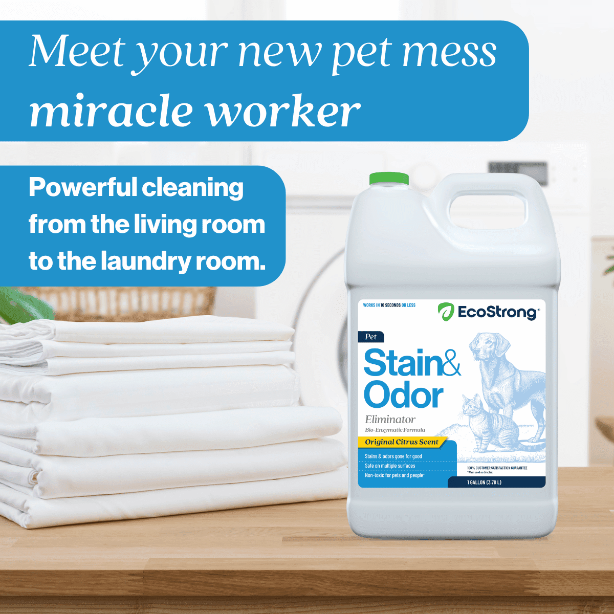 Eco Strong Enzymatic Pet Stain & Odor Remover for Cats & Dogs, 1 Gallon Jug, Citrus Scent