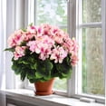 thumbnail image 5 of Morttic 2 Pcs Artificial Geraniums for Outdoor Silk Geranium Flowers Red Artificial Geranium Bush Faux Flowers Geraniums Branch for Garden Patio Grave Cemetary Vase Table Centerpiece Indoor Decor, 5 of 6