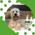 thumbnail image 6 of Speak Pet Products Natural Dog Shampoo, Tea Tree Relief, 1 Gallon, 6 of 8