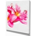 thumbnail image 2 of Beautiful Flowers with Big Pink Petals - Floral Canvas Art Print, 2 of 3