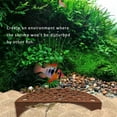 thumbnail image 5 of Yooshoverk Shrimp Hideout Cave - Ceramic Aquarium Decor for Breeding & Protection - Fish Tank Shelter w/ Multiple Entrances - Safe for Freshwater Shrimp (3x2 inch), 5 of 8