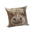 thumbnail image 2 of Highland Cow Print Throw Pillow Cover,Short plush Decorative Square Pillpw Case Decor, Farmhous Decor Vintage Country Art for Gift, Lumbar Pillows Case, Cushion for Sofa Couch Bed, 2 of 6