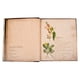 thumbnail image 2 of Plantas Silvestres E Infusiones Curativas Lexus Editores Atlas Ilustrado, 2 of 4