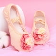 thumbnail image 7 of Siilsaa Ballet Shoes for Girls Large Flower Ballet Dance Shoes Elegant and Cute Ballet Slippers Soft Dance Shoes for Toddler Beige,8.5, 7 of 7