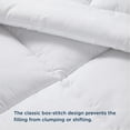 Cozy Comfort All Season Down Alternative Comforter Duvet Insert