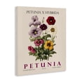 thumbnail image 2 of Stupell Industries Scandinavian Natural Petunia Bundle Canvas Art, 36 x 48, by Christopher Giampietro, 2 of 8
