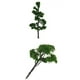 thumbnail image 1 of 2 Unids Modelo de árbol de Olmo Olmo + Pino de Montaña Paisaje de Construcción, 1 of 9