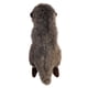 thumbnail image 4 of Nutria marina bebé de peluche Aurora® Adorable Miyoni® Tots, 4 of 5