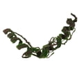 thumbnail image 2 of Vid Artificial de Escalada Selva Colco Repital Climbing Jungle Vine, 2 of 8