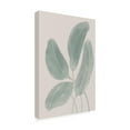 thumbnail image 5 of Canvas Wall Art - Pictufy Studio II 'Leaves Watercolor' Wall Art for Living Room, Bedroom, or Office Décor by Trademark Fine Art - 12 x 19 Inches, 5 of 5
