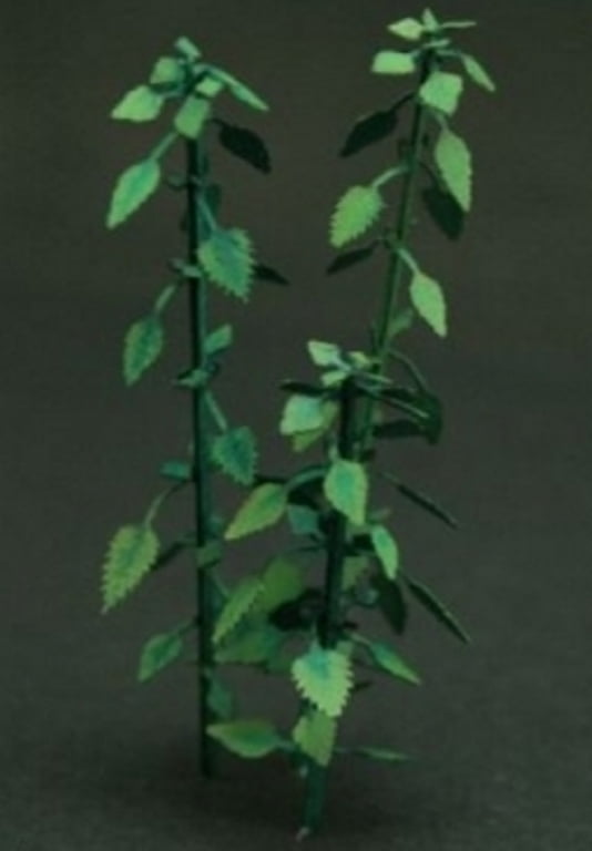 Reality In Scale 1:35 54mm Nettle 45mm Height 4pc 30mm Height 6pc #GL058 