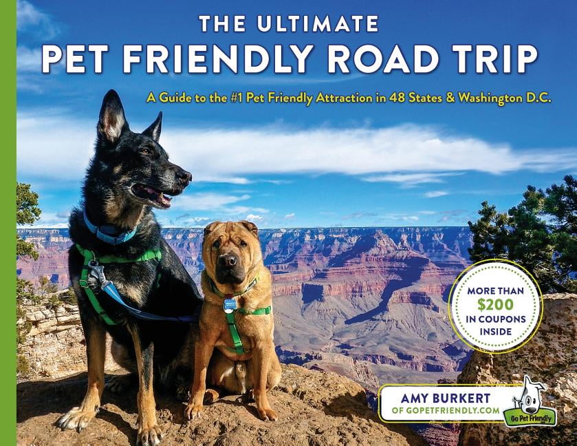 The Ultimate Pet Friendly Road Trip A Guide to the 1 Pet Friendly