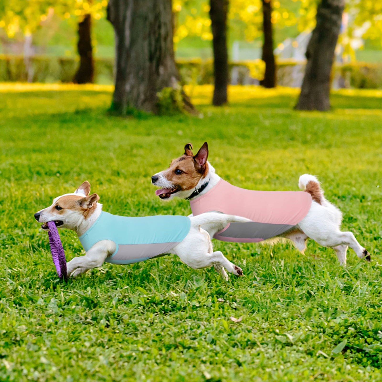 Kuoser Dog Cooling Shirt Breathable Soft Dog Cooling Vest for Summer, Blue, XS