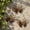 Bronze Size N6, variant on Vintage Wall Art Sculpture Hanging, Usupdd Iron Garden Decor for Outdoor, 5.83x4.8in Bronze Yard Art for Patio Home