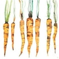 thumbnail image 3 of Atelier B Art Studio 12x12 Black Modern Framed Museum Art Print Titled - FRESHLY PICKED CARROTS, 3 of 5