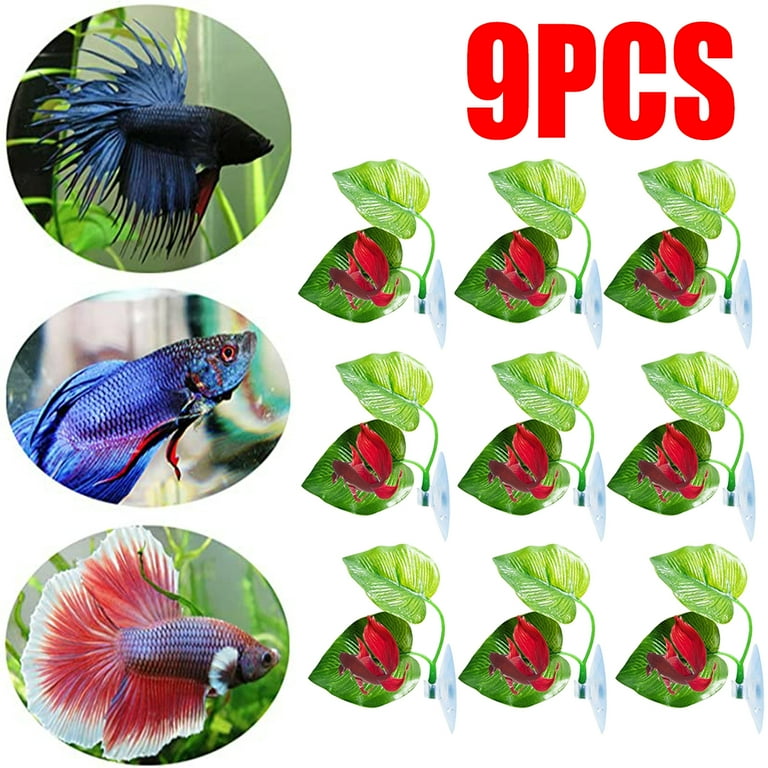 Betta fish top price walmart