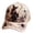 Navy, variant on 3D Halloween Embroidered Baseball Cap For Women, Adjustable Vintage 3D Embroidery Halloween Baseball Cap with Witch