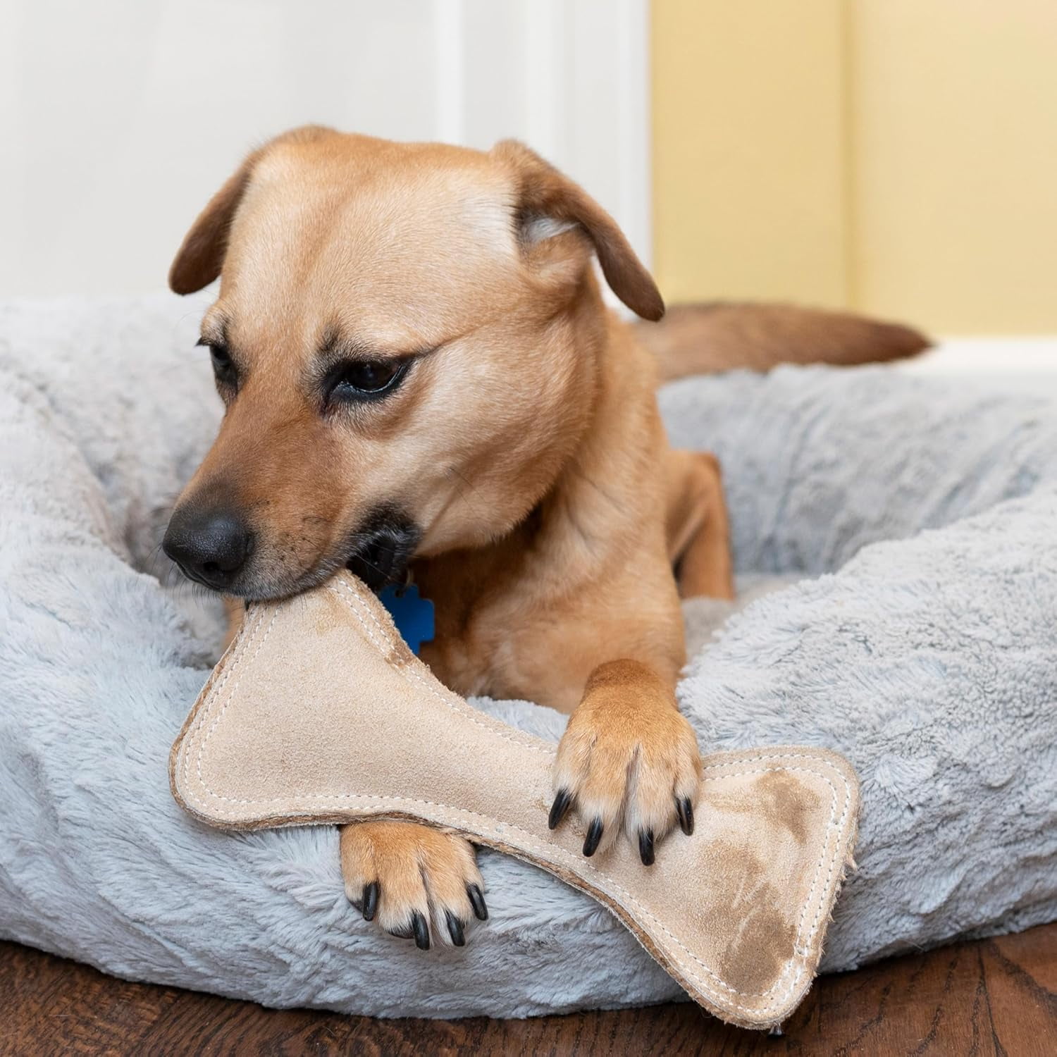 SPOT Dura-Fused Leather Bone Dog Toy with Squeaker, Durable