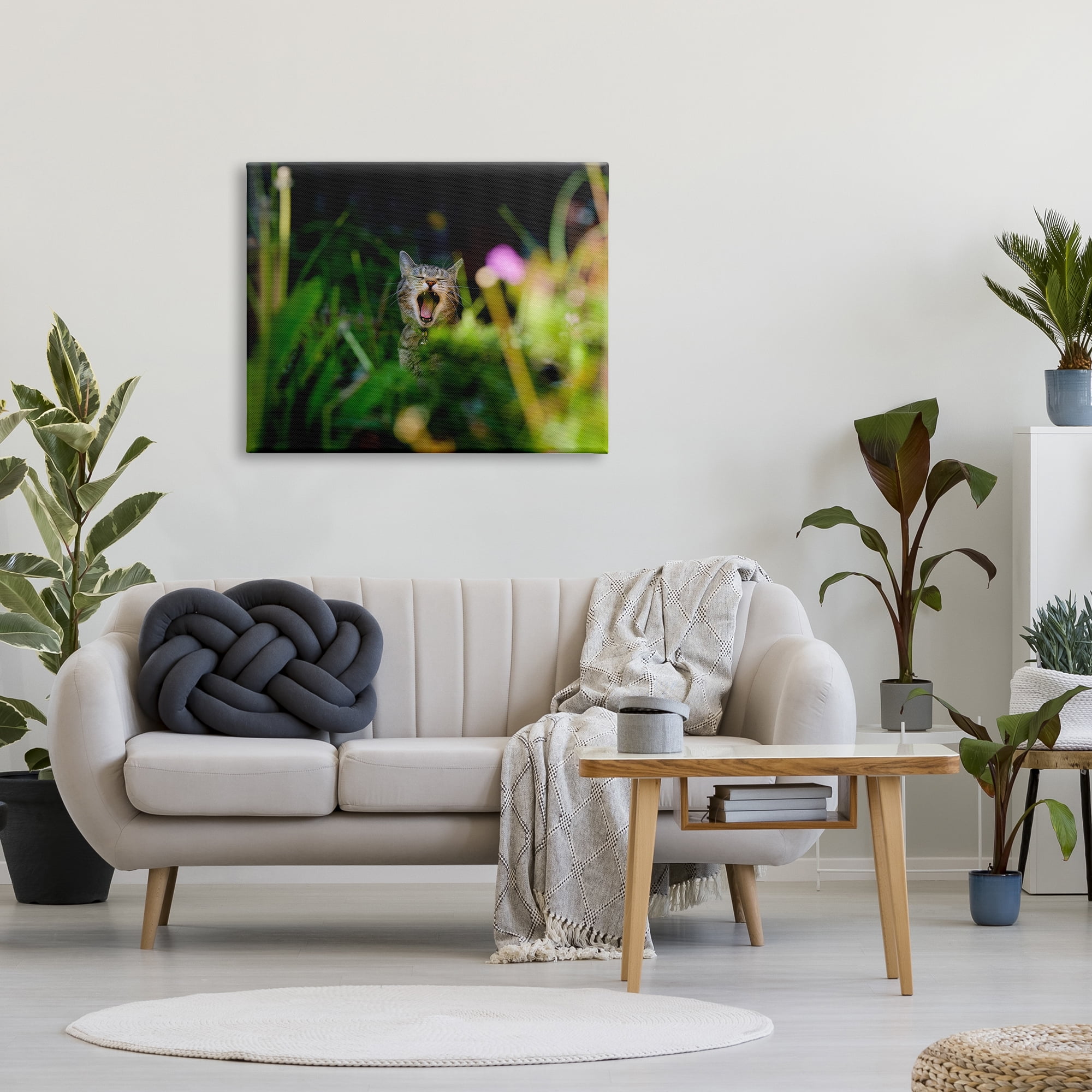 Stupell Industries Yawning Cat in Grass Animals & Insects Photography Gallery Wrapped Canvas Art Print Wall Art, 40 x 30