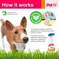 PET YOUR PET No Pee No Poop Dog Potty Training Spray, 16 Fl Oz Non