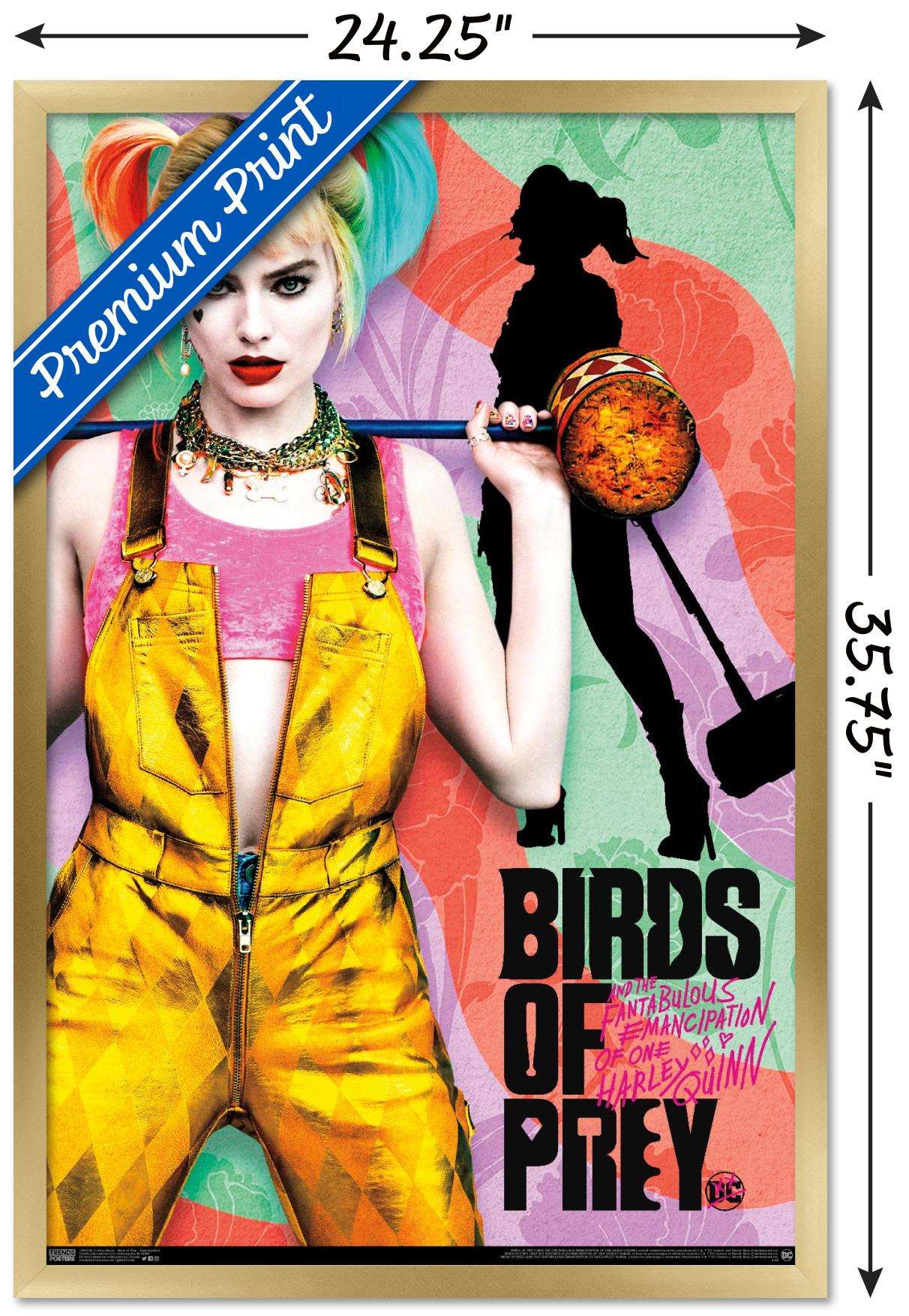 DC Comics Movie - Birds of Prey - Emancipation Wall Poster, 22.375" x 34", Framed