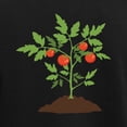 thumbnail image 3 of CafePress - Tomato Plant Pajamas - Women's Short Sleeve Print T-Shirt and Pants Dark Cotton Pajama Set, 3 of 7