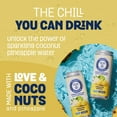 thumbnail image 4 of Thirsty Buddha Eau de Coco Pétillante à l'Ananas, Sans Sucre Ajouté, Sans OGM, Certifié Végétalien, Canette330ml, 4 of 6