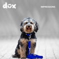 thumbnail image 3 of Ddoxx Nylon Dog Leash 3-Way Adjustable 66 ft - for Dogs Large Small, 3 of 8