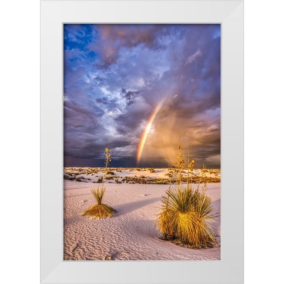 Jaynes Gallery 11x14 White Modern Wood Framed Museum Art Print Titled - USA-New Mexico-White Sands National Park Thunderstorm rainbow over desert