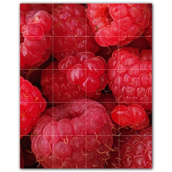 Picture-Tiles.com: Fruit Ceramic Tile Wall Mural WAL500717-45S. 17"W x 21.25"H using (20) 4.25" x 4.25" Ceramic Tiles-Satin Finish
