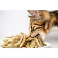 thumbnail image 6 of Scout & Zoe's: Munchworthy Minnows - 1oz Dog & Cat Treats, Freeze-Dried, Single Ingredient, Pet Fish Chews, Crunchy Bites, Omega-3 Rich, USA Sourced, 6 of 12