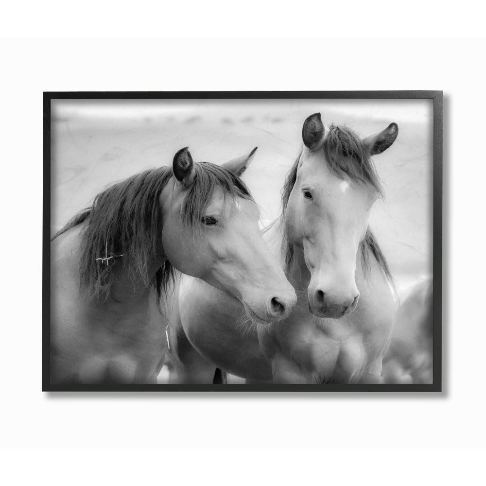 Stupell Industries White Soft Graphite Look Two Horses Photograph Black Framed Wall Art 24 x 30 Multi-Color