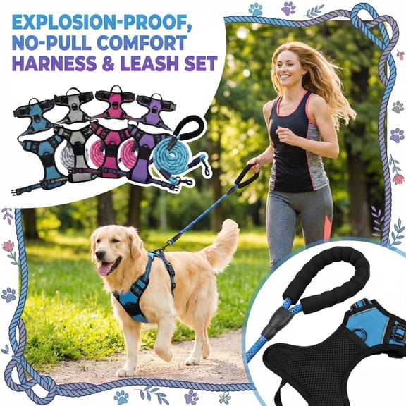 Front Clip Harness Dog No Pull, Dog LeashandHarness Set, Large Dogs, Reflective Panels, Heavy Duty, Shock Absorbing Bungee, Blue Color, Mesh Build, Outdoor Walking