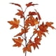 thumbnail image 3 of Planta de hoja de arce roja, enredadera de hoja de arce otoñal, decoración de pared para casa, cocina, jardín, oficina, boda, 3 of 8