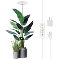 thumbnail image 2 of Luz de cultivo de plantas, luz de crecimiento LED yadoker de espectro completo para plantas de interior, altura ajustable, temporizador automático, voltaje seguro bajo de 5 V, idea para luz de plantas, 2 of 4