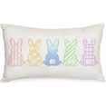 thumbnail image 1 of Easter Lumbar Pillow Cover 12X20 Watercolor Rabbbit Farmhouse Decorative Cushion Case Home Spring for Sofa Couch AA067-12, 1 of 5