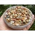 thumbnail image 6 of WHOLESALE Natural Semi Tumbled Crazy Lace Agate Gemstone Chips, Crushed Mini Crystals, Undrilled (Crazy Lace Agate, 0.25 Pound), 6 of 8