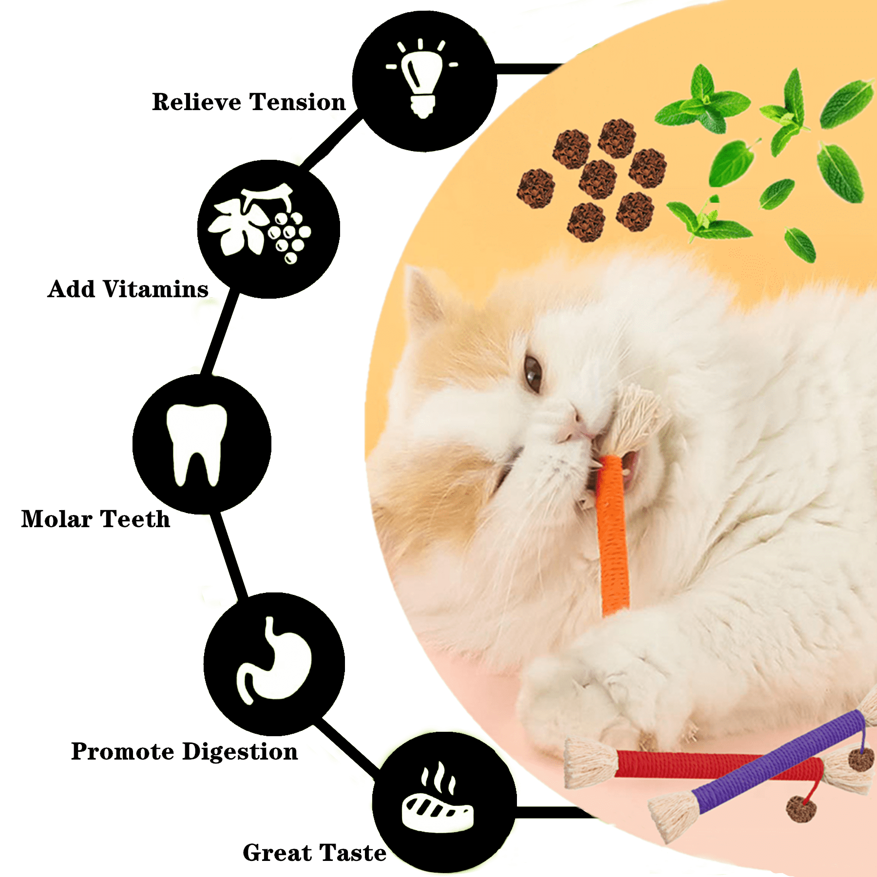 Grembeb 12 Pack Cat Chewing Toy Catnip Kitten Treat Rope Kitten Silvervine Stick for Teeth Indoor