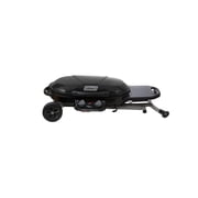 Coleman RoadTrip X-Cursion 2 Burner Propane Gas Portable Grill
