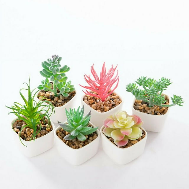 Suculentas artificiales 6 piezas Plantas artificiales de interior Pequeñas plantas suculentas artificiales Plantas suculentas falsas Plantas verdes artificiales Decoración Mini plantas suculentas art JAMW Sencillez